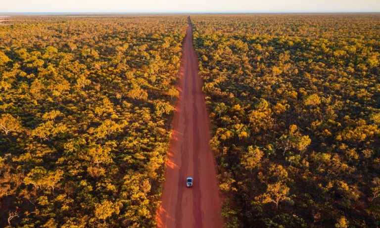Aerial view of red outback road through bushland